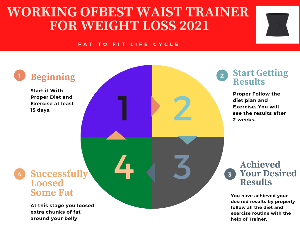 Working of Best waist Trainer for Weight loss 2021 chart