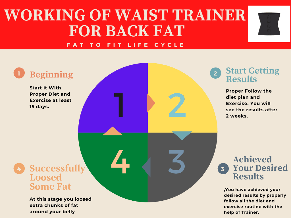 Working of back fat Waist Trainer Graph